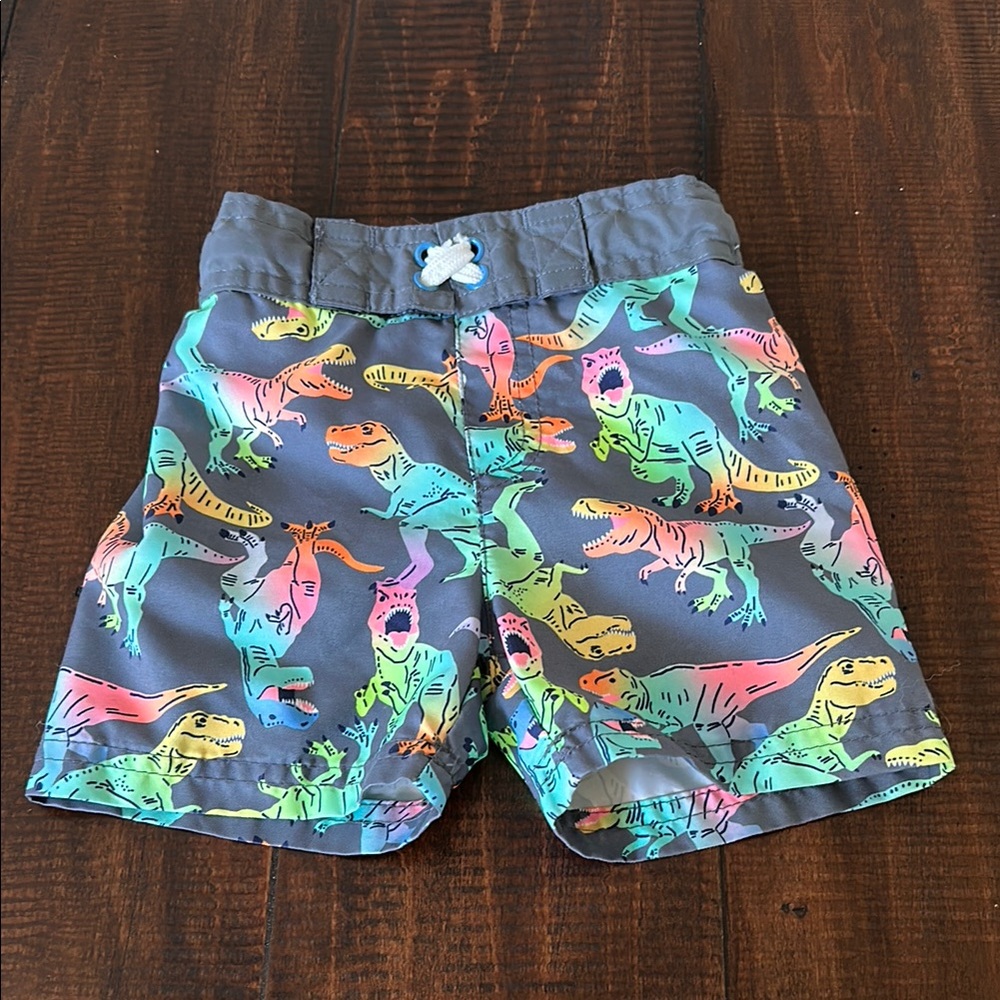 Dinosaur Print swim Shorts